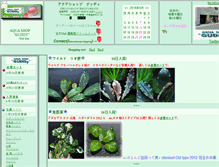 Tablet Screenshot of guddy-jp.com